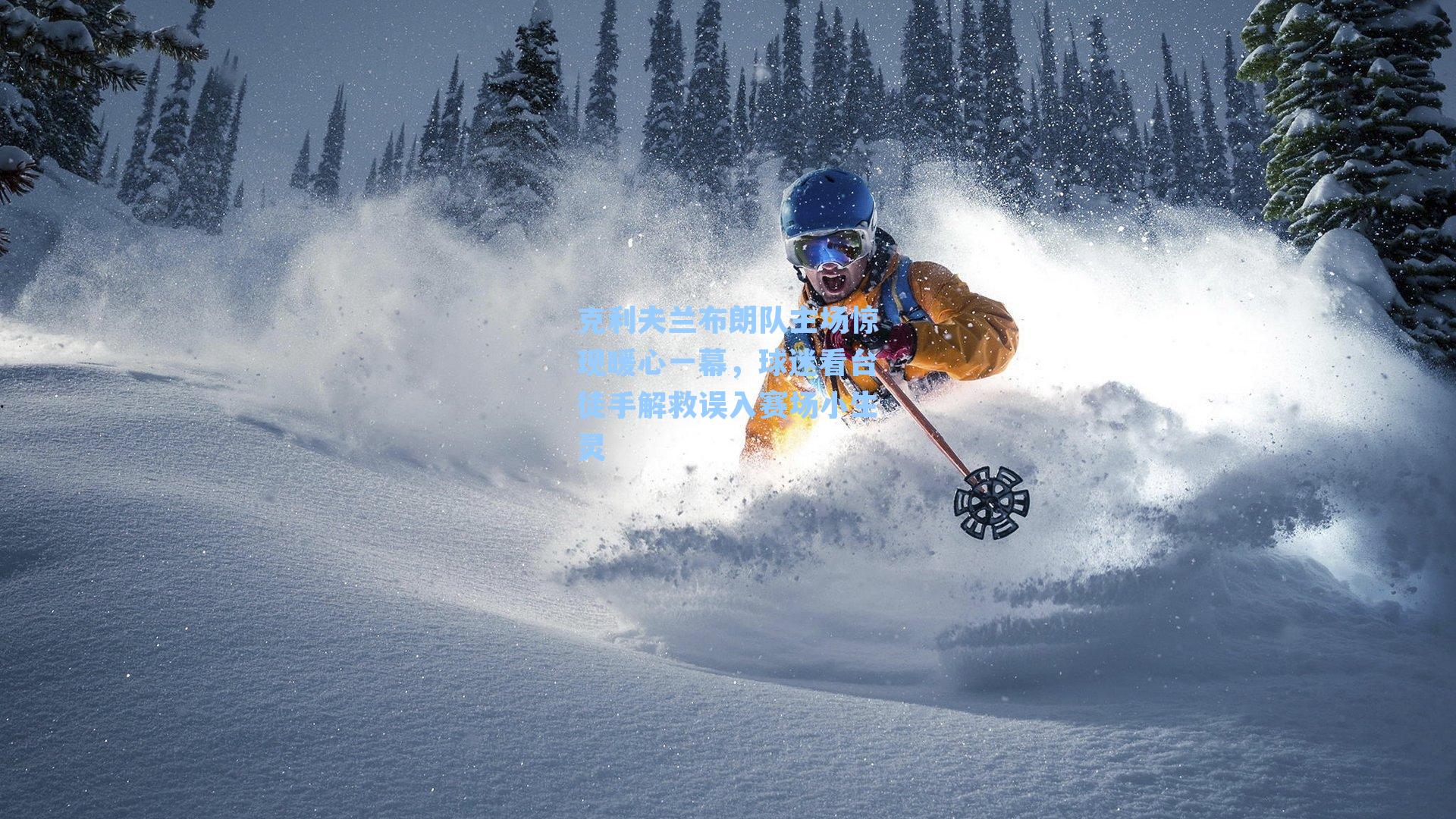 克利夫兰布朗队主场惊现暖心一幕，球迷看台徒手解救误入赛场小生灵